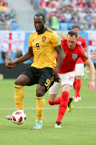 不仅展示了 不仅展示了