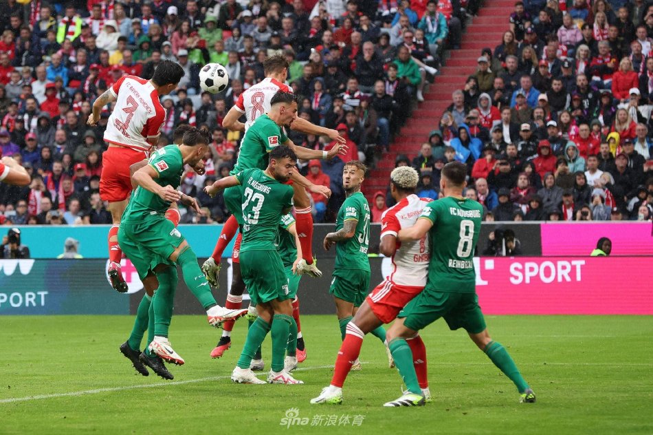 在体育界 在体育界