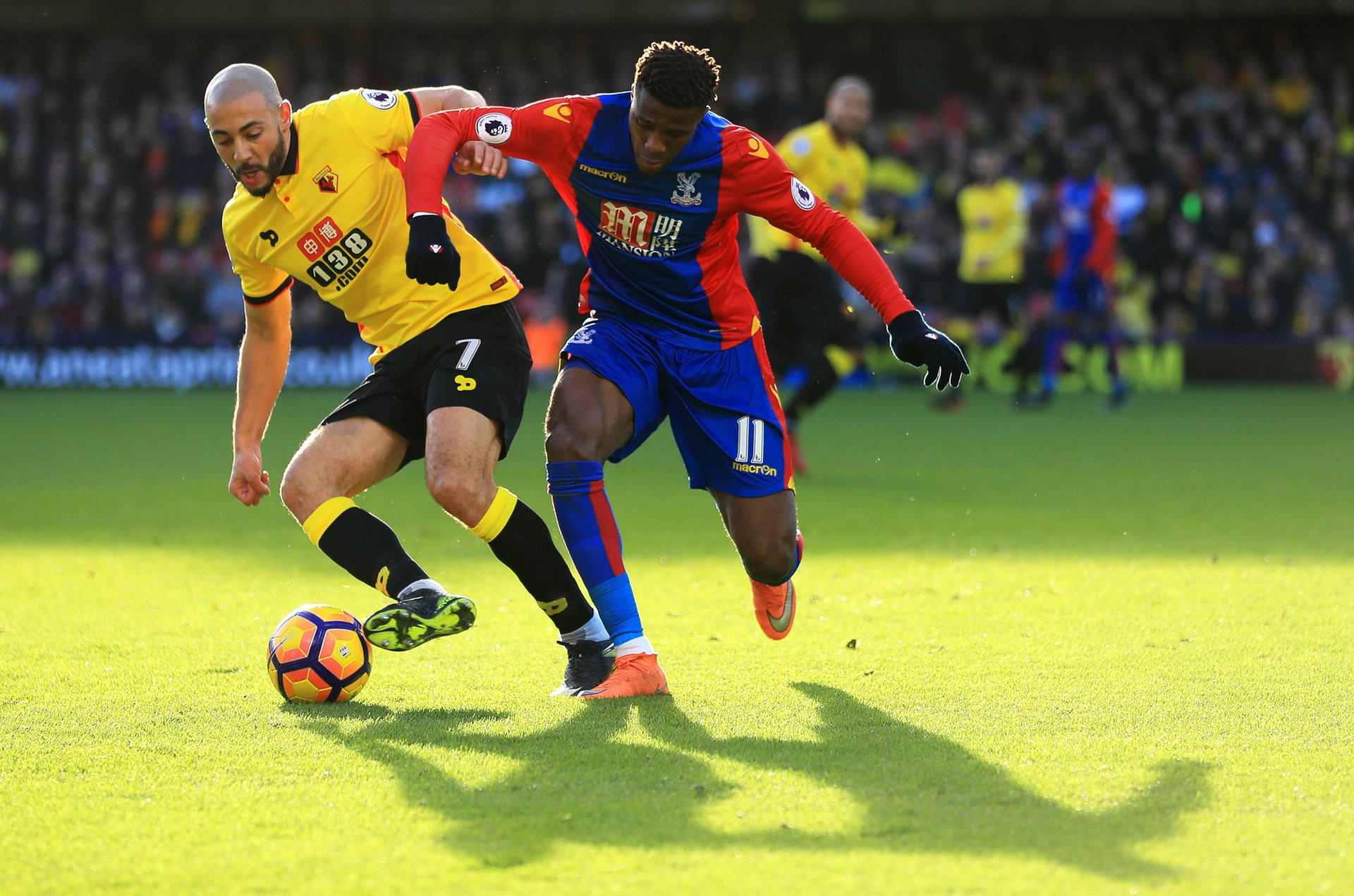 在体育界 在体育界